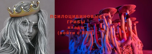 гидропоника Заводоуковск