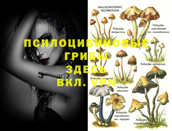 гидропоника Заводоуковск