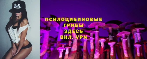 гидропоника Заводоуковск