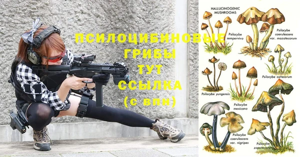 не бодяженный Зерноград