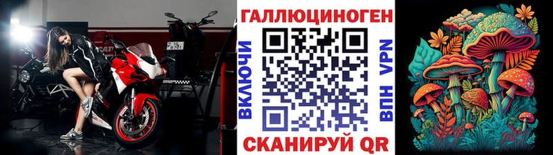 Купить Кедровый Галлюциногенные грибы Magic Shrooms